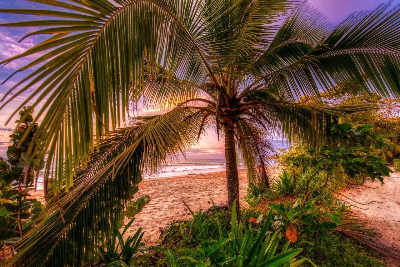 Oasis Bluff Beach 博卡斯德尔托罗 外观 照片