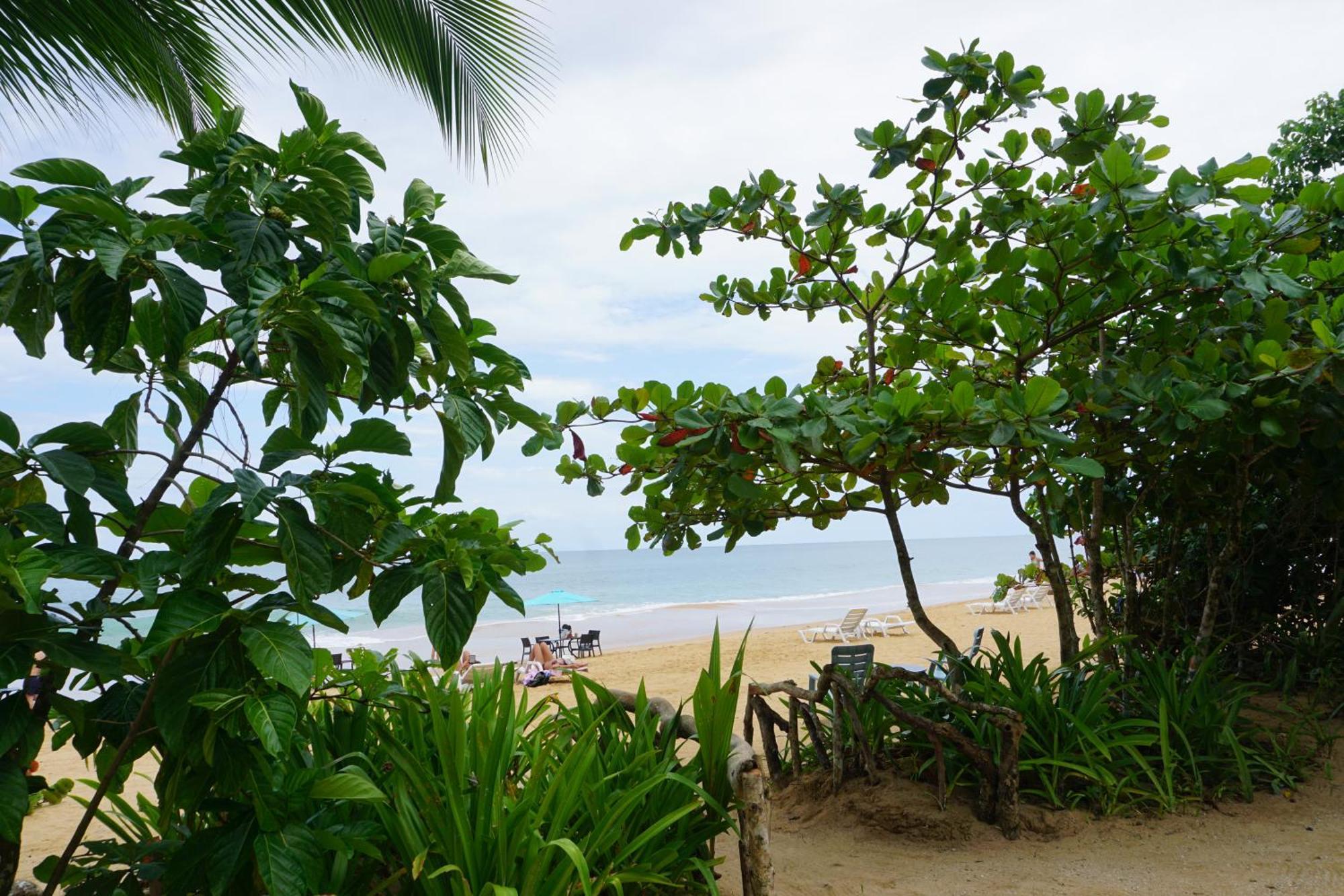 Oasis Bluff Beach 博卡斯德尔托罗 外观 照片